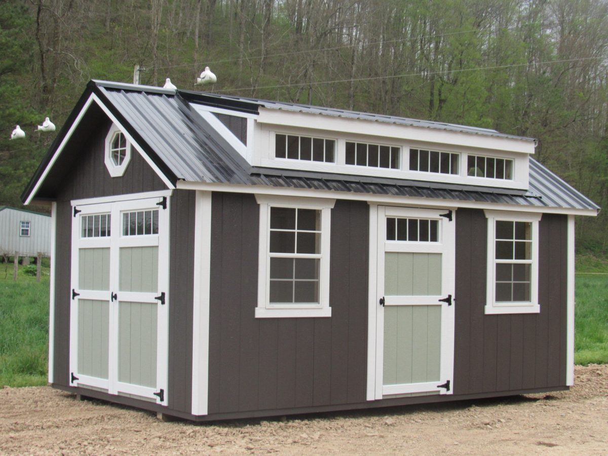 The Dormer shed with dark siding, white trim, a roof dormer with transom windows and metal roof